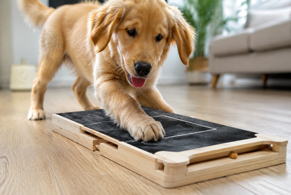 Dog Nail Scratch Board Nail Trim Pad Pull-Out Wooden Pet Scratching Board Toy Built-in Treat Box Dog Sandpaper Board Scratcher